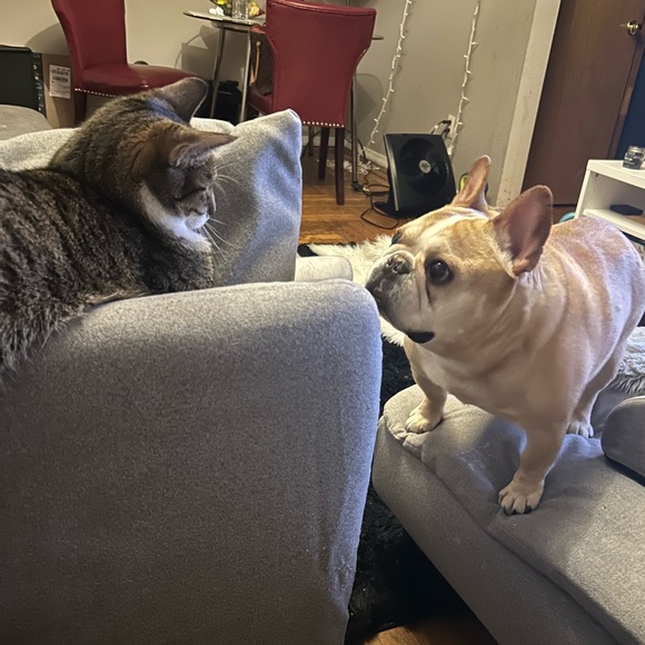 Meet your Posher, Dee - Picture 3 of 8